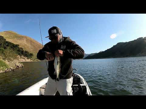 Lopez lake,ca duo Realis Kabuki 55sr and G87 20A