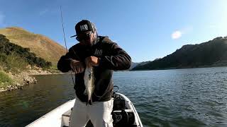 Lopez lake,ca duo Realis Kabuki 55sr and G87 20A