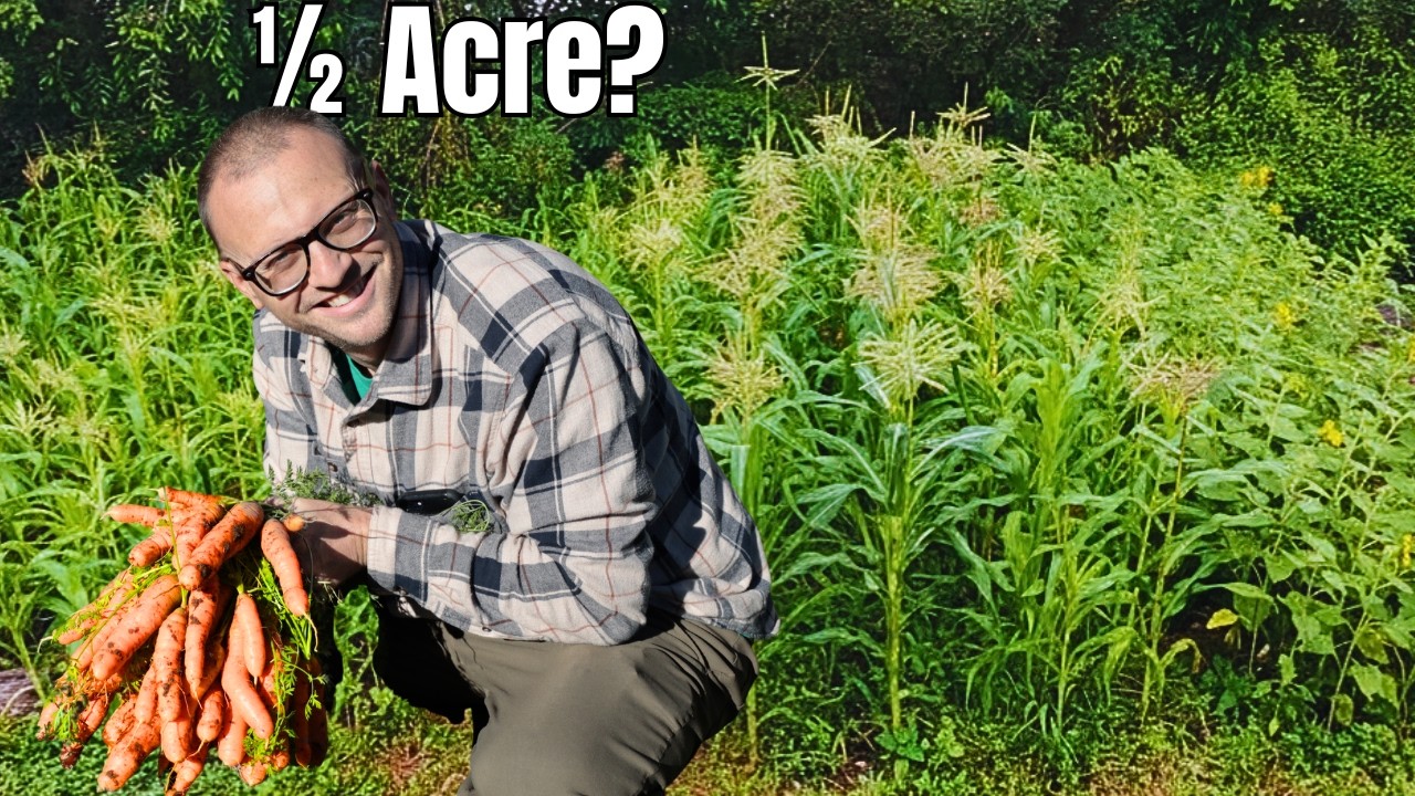Growing a year of food on half an acre: a practical homestead tour
