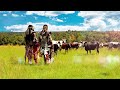 Inkabi Zezwe Ft Sjava Big Zulu Siyabonga Official Visualiser