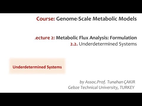 Lecture 2.2 - Underdetermined Systems | Genome Scale Metabolic Models