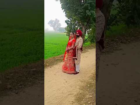 Best Couple Wedding Shoot #viral #youtubeshorts #vlog #hashtag #trending #shorts
