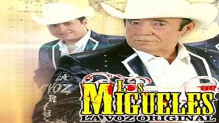 No Le Voy A Rogar, Los Migueles, Letra Y Acordes, Tutoríal