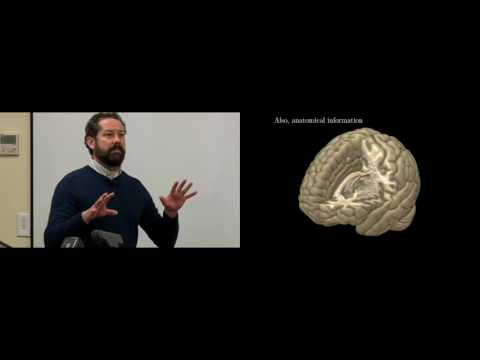 Lecture 6: Machine learning on fMRI data. For science. Guest lecture from Nick Allgaier