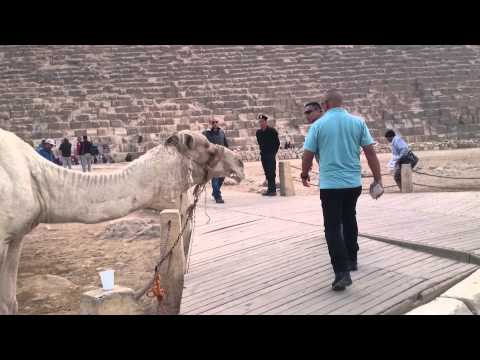 llegando a las pirámides , majestuosas !!!!