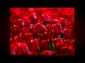 Zerrin Özer - Ben Seni Sevmeyi Sevdim 