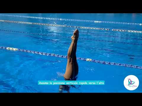 𝑳𝒆 𝑩𝑨𝑺𝑰 𝒅𝒆𝒍 𝑵𝒖𝒐𝒕𝒐 𝑺𝒊𝒏𝒄𝒓𝒐𝒏𝒊𝒛𝒛𝒂𝒕𝒐 𝒄𝒐𝒏 𝒃𝒍𝒖𝑨𝒍𝒊𝒌é 🧜🧜‍♀️ #18 - Marsuino