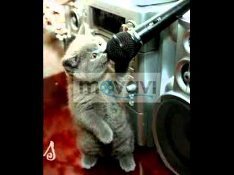 Push it Matteo ft Stella