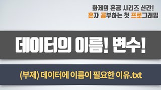 데이터의 이름! 변수! - 혼자 공부하는 첫 프로그래밍, 첫 코딩 with 파이썬 02-4강 변수