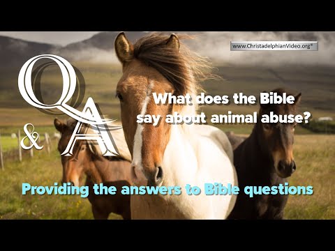 Bible Questions and Answers - What does the Bible say about animal abuse?