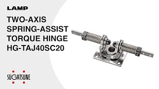 HG-TAJ40SC20 | TWO-AXIS SPRING-ASSIST TORQUE HINGE | Industrial
