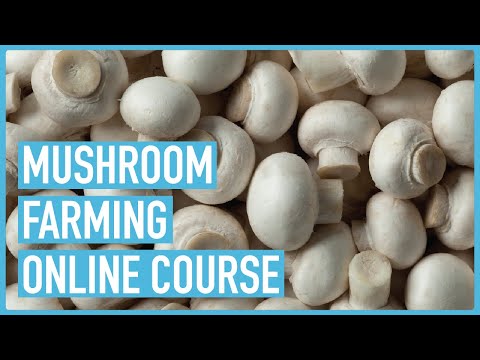 Profitable Pig Farming and Best Practices for success Course Outline