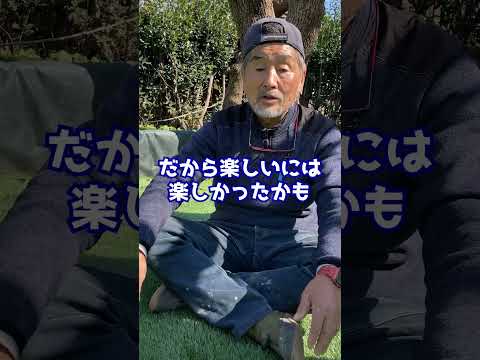 amenagement-paysager-niveaux-succulentes-clôture-béton