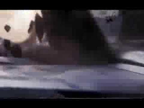 Qulam gozlenilmez hadise 2