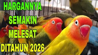 Download lagu update harga lovebird biola terbaru tahun 2026 mp3 Download lagu update harga lovebird biola terbaru tahun 2026 mp3