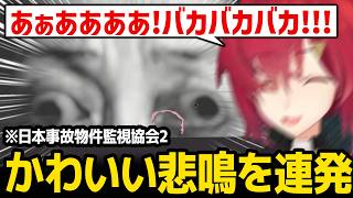 可愛い悲鳴を連発するアンジュ【日本事故物件監視協会2】【にじさんじ】