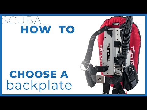 Should You Switch to a Backplate BCD? Best Guide for Divers!