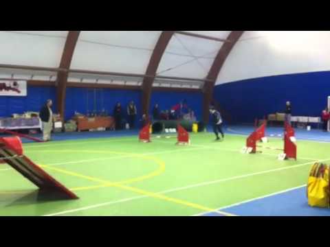 Grisù ... un bell'eliminato