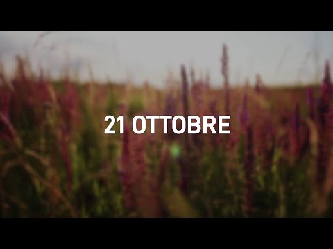 21 Ottobre 2025 | Meditazione Parole di Vita