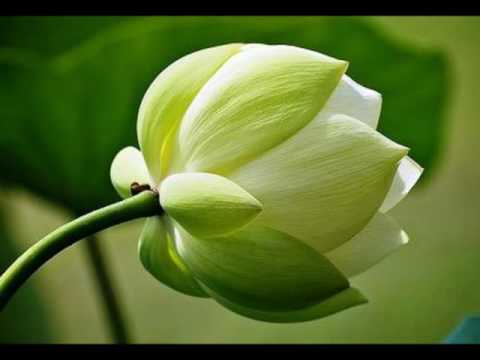 Thể hiện bởi Hiền Tịnh
