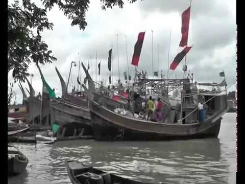 পটুয়াখালীর উপকুল জুড়ে ইলিশের আকাল