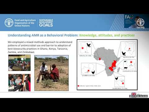 Poultry Farmer Field Schools in Ghana and Kenya: farm biosecurity to reduce antimicrobial resistance