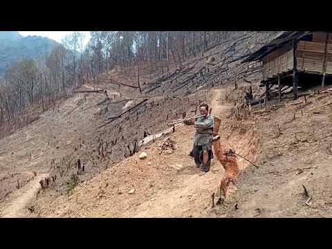 Xov ntxiag lub neej nyob pem roob ntsuag niam ntsuag txiv part I.