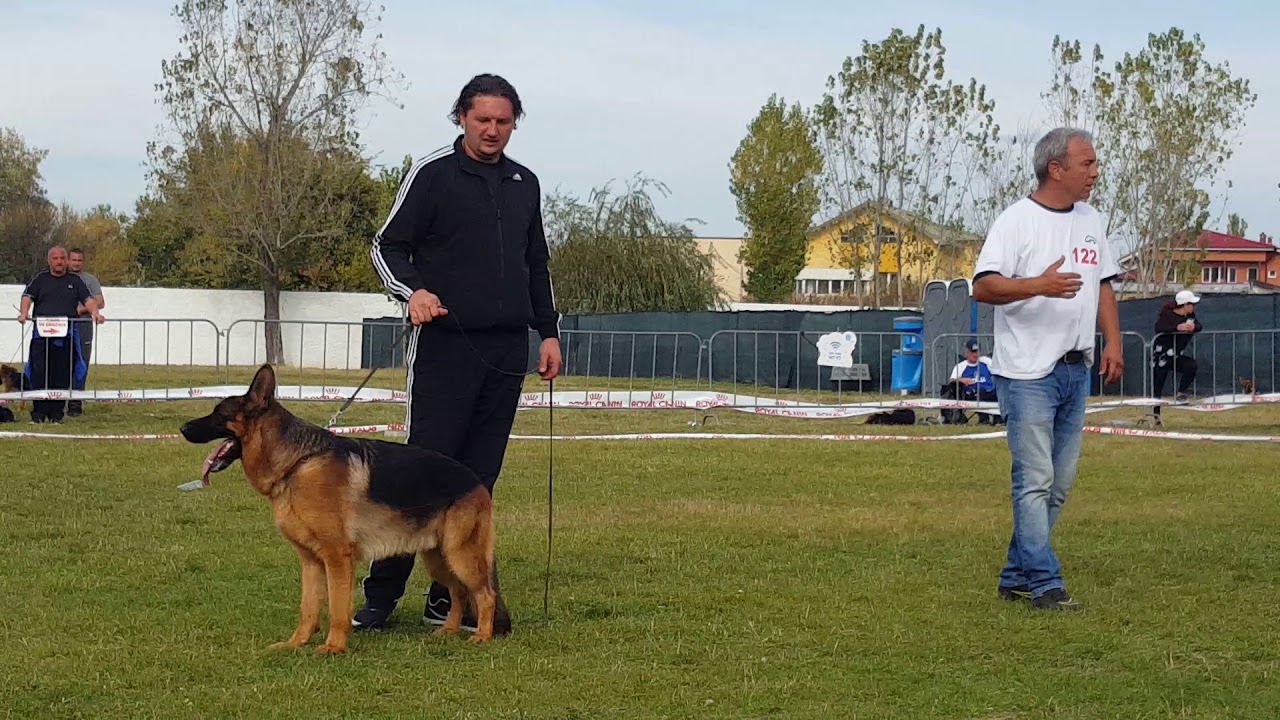 Gild von Evksinograd