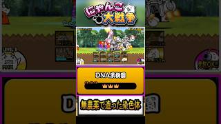 【★★★】本垢の真レジェンド片付けましょう《無農薬で造った染色体》に挑戦！【DNA果樹園】 #にゃんこ大戦争く