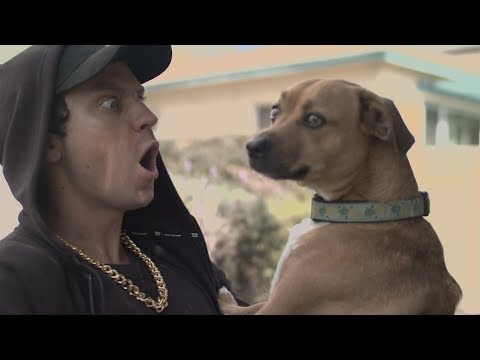 Eminem Disses Everything (MGK Response) (Parody)