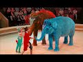 Шоу Слонов в Луганском цирке Elephants Perform In The Circus