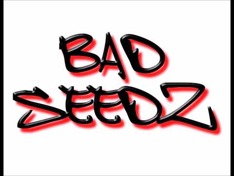 Bad Seedz - Hate & Anger '07