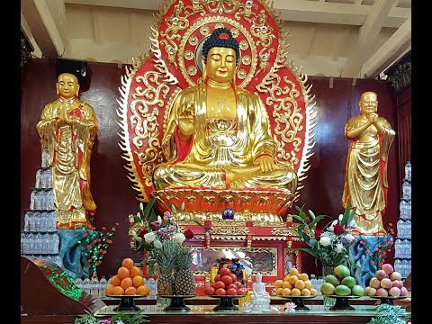 2019 02 16   Prato   Tempio Buddista e Lanterne cinesi della festa in piazza