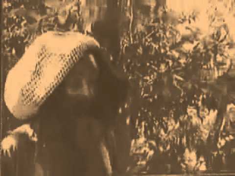 aDUBo - Profecia dub