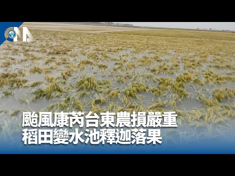 康芮颱風全台46萬戶停電 各地災情整理