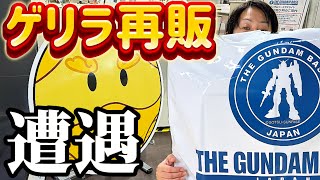 【ガンプラ】ふらっとガンダムベースに行ったらレアキットが購入出来ました！PGアストレイの進行状況！