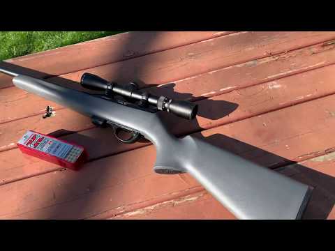 Remington model 597 ducks Unlimited 22.