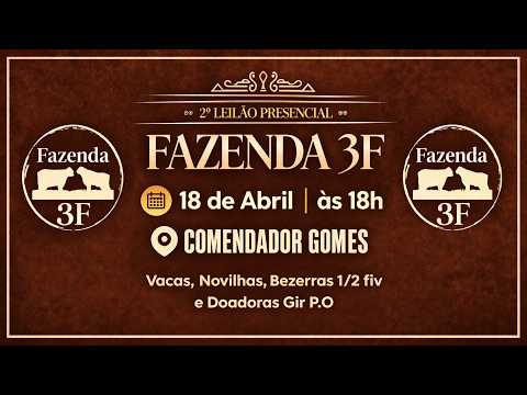Leilão de GADO LEITEIRO Fazenda 3F | Comendador Gomes - MG Dia 18/04/2026