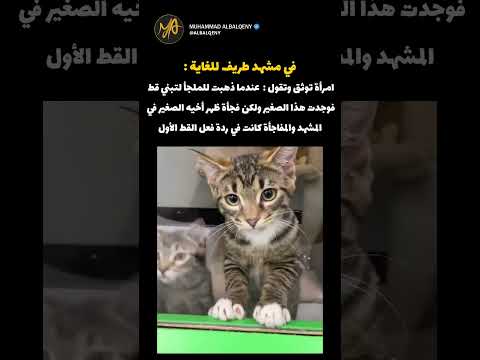 ردة فعل غريبة من قطة صغيرة عند لقاء أخيها 😂 #قطط #فيديو_مضحك #short