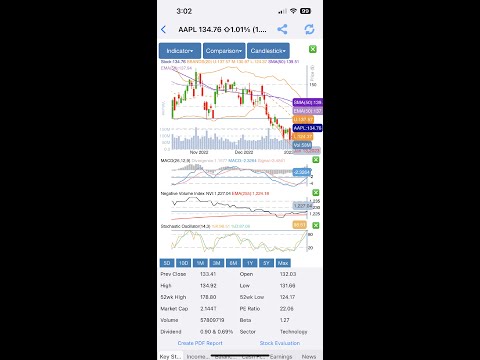 DataMelon: Stock Analysis App