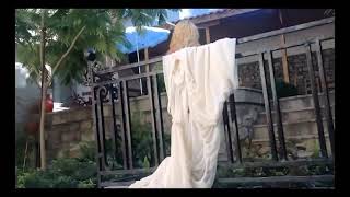 Download lagu Bee Gees I Love You Too Much mp3 Download lagu Bee Gees I Love You Too Much mp3