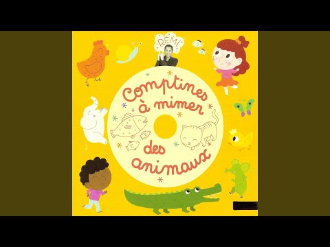 Le petit poussin picore