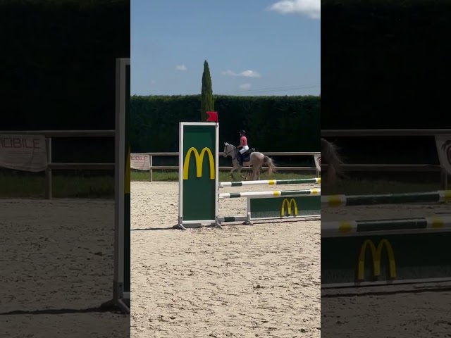 Poney de sport et loisirs