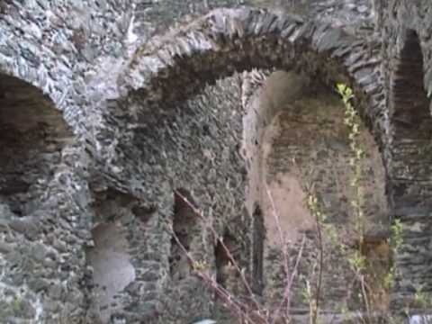 Burgruine Hardegg