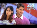 Gala Gala 4k Video Song Pokiri Mahesh Babu Ileana D Cruz Mani Sharma