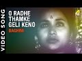 O Radhe Thamke Geli Keno | Baghini | Bengali Movie Song | Hemanta Mukherjee