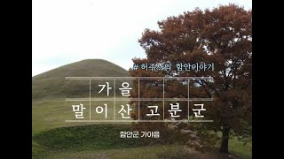 10월의 마지막 날,  느낌있는 가을나드리 '말이산고분군' 감상하세요~