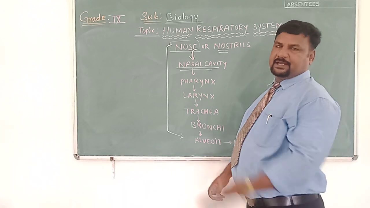 ICSE Grade 9 Biology | Respiratory system | Aryabhatta International Academy