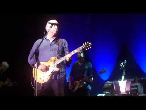 Mark Knopfler performing I Dug Up A Diamond in Budapest, June 22, 2013