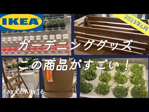 テラスやバルコニー用の鉢植えの観賞用草 トピックス